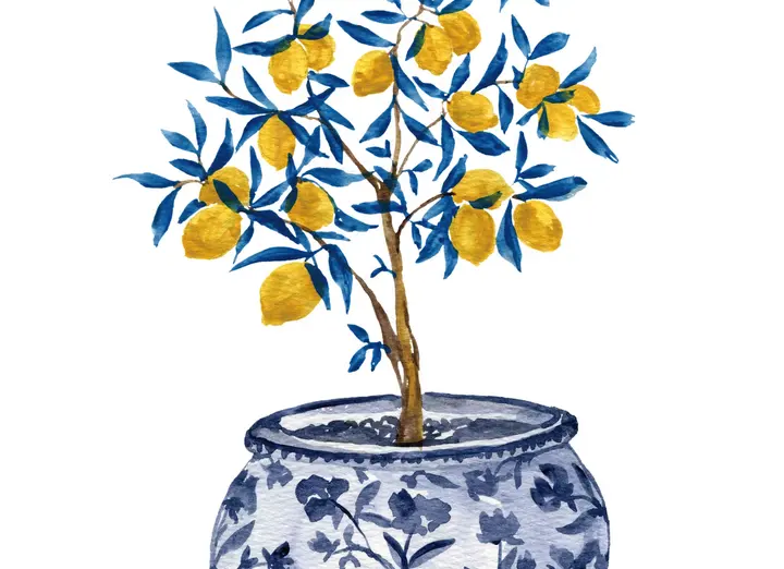 Lemon Tree in Chinoserie wallpaper, view 7